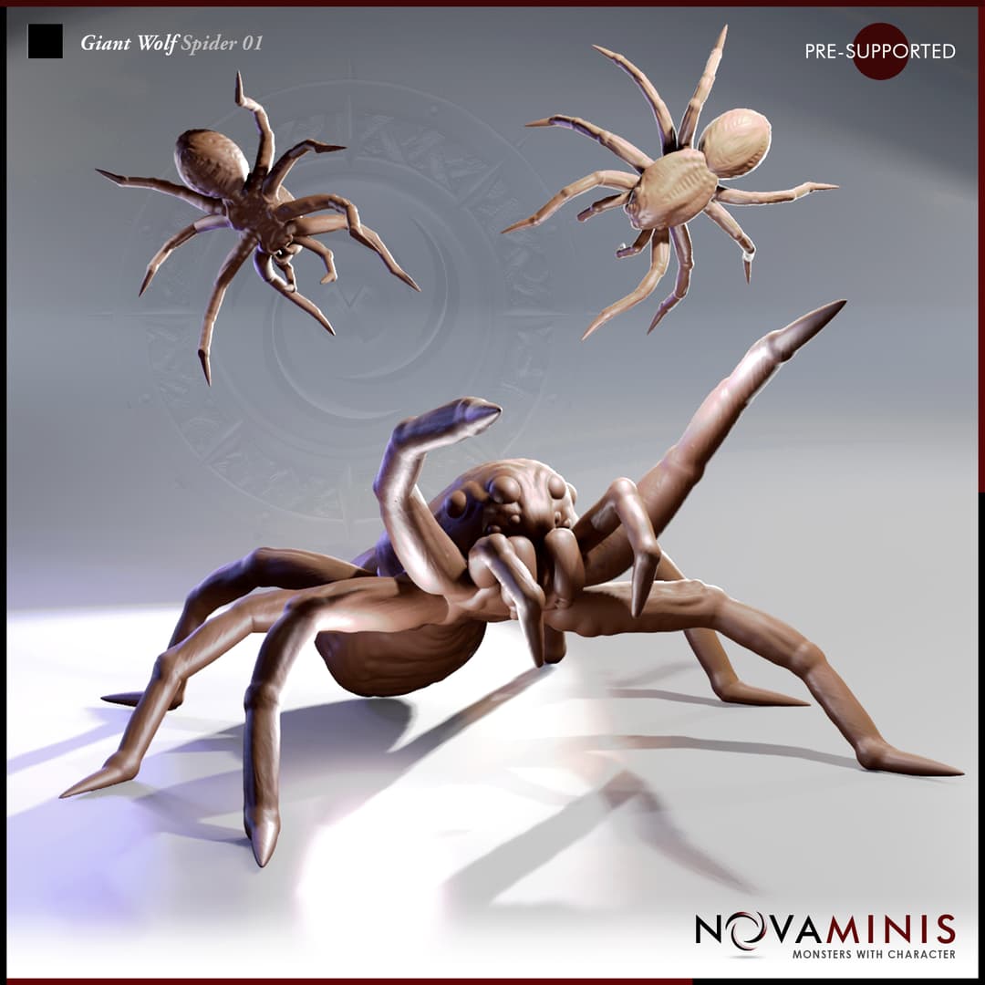 Giant Wolf Spider 01