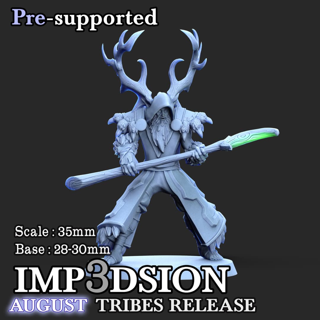 Male druid 01