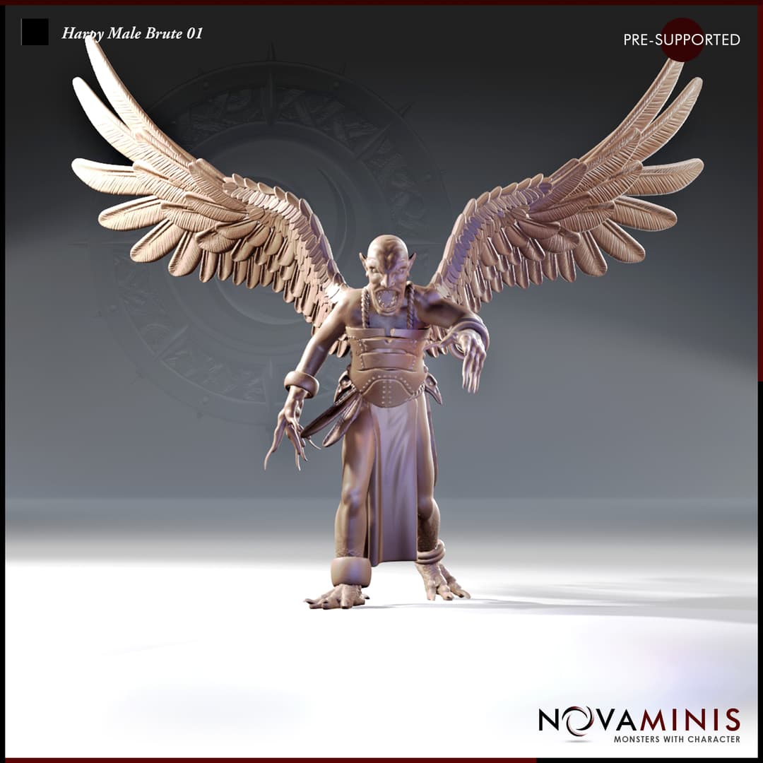 Harpy Male Brute 01