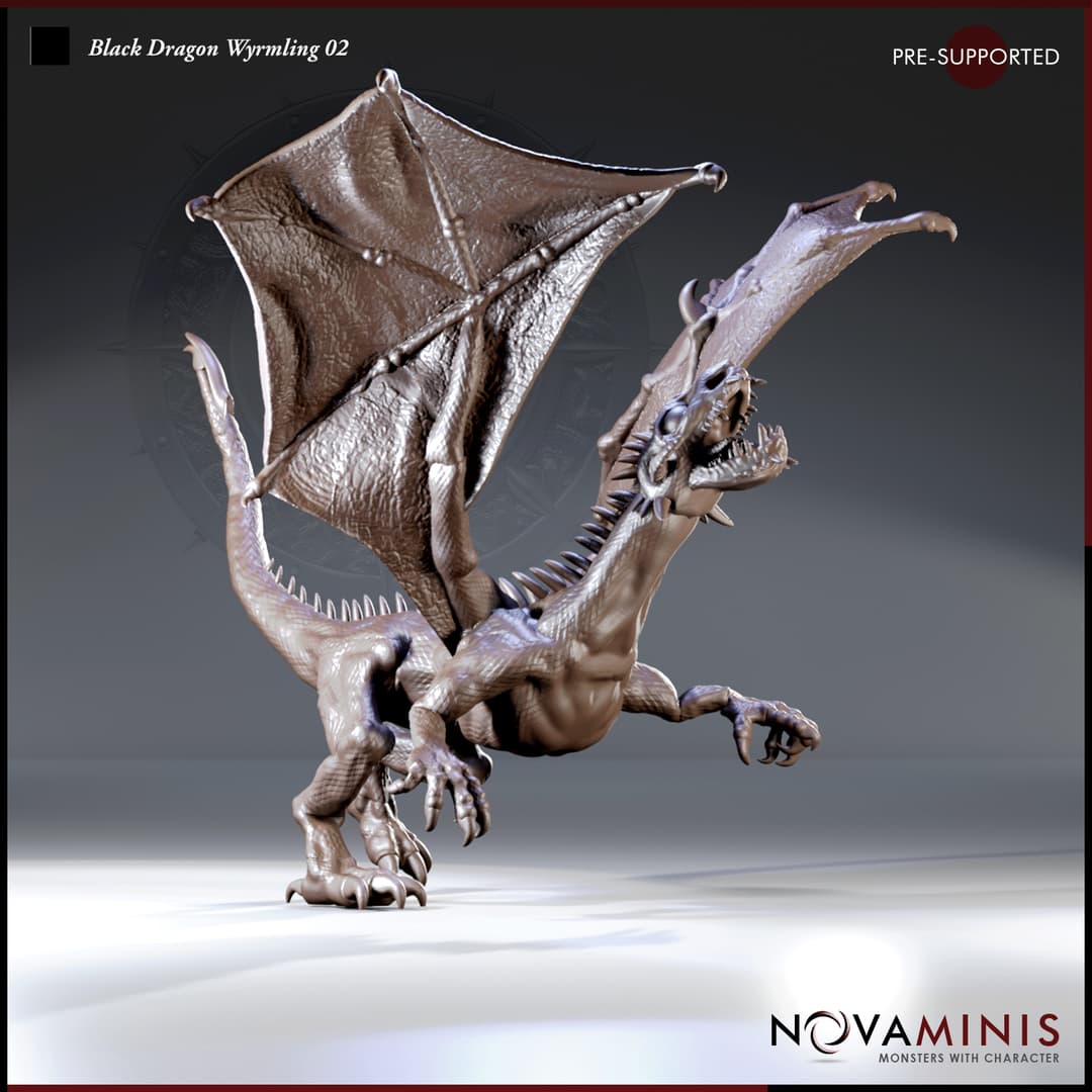 Black Dragon Wyrmling 02