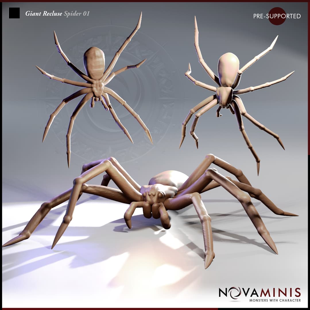 Giant Recluse Spider 01