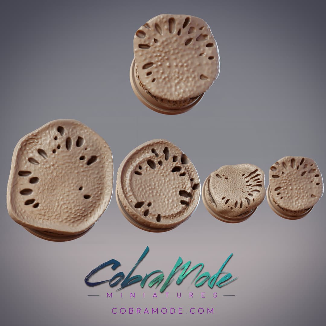 Mushroom Cap Base Pack (4pcs)