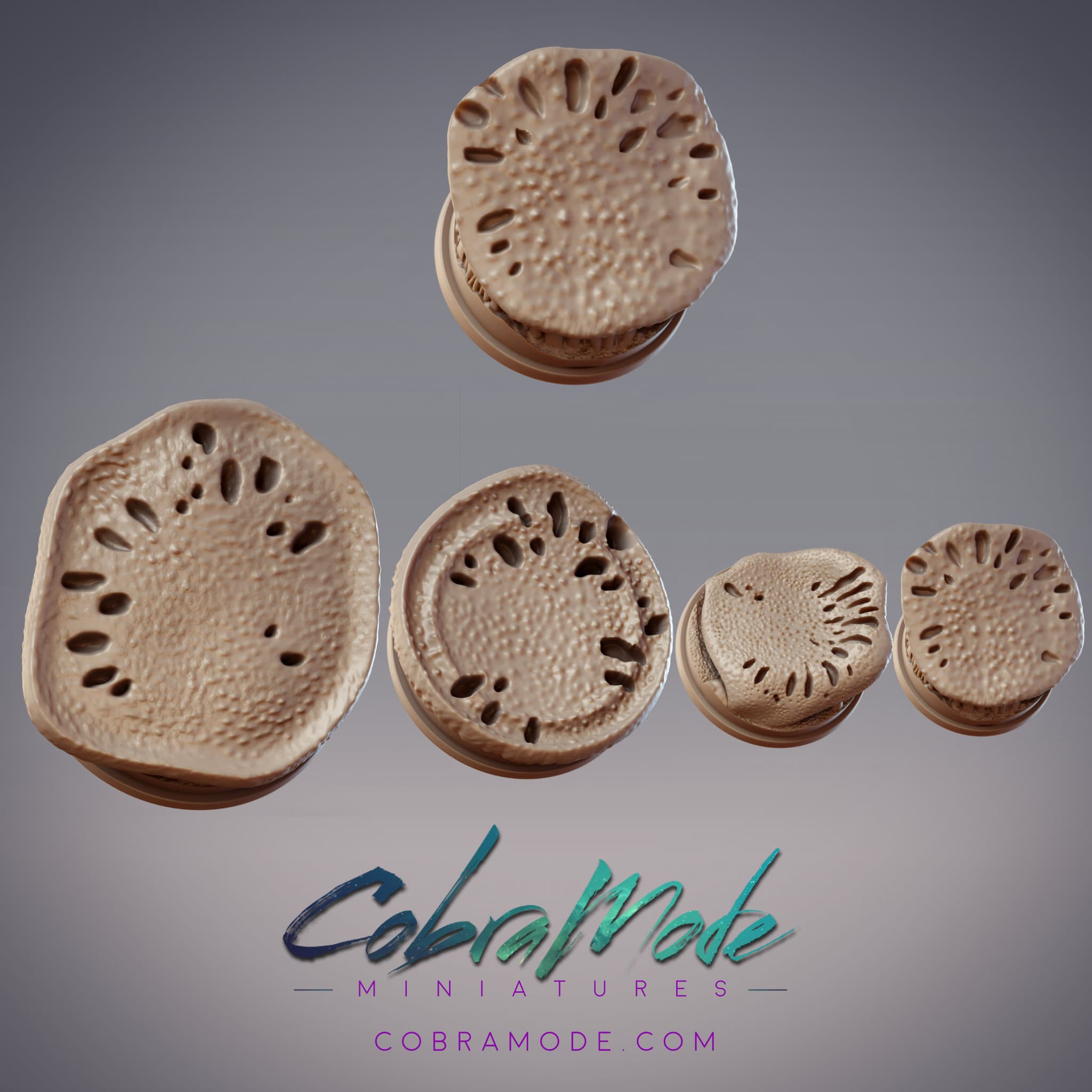 Mushroom Cap Base Pack (4pcs)
