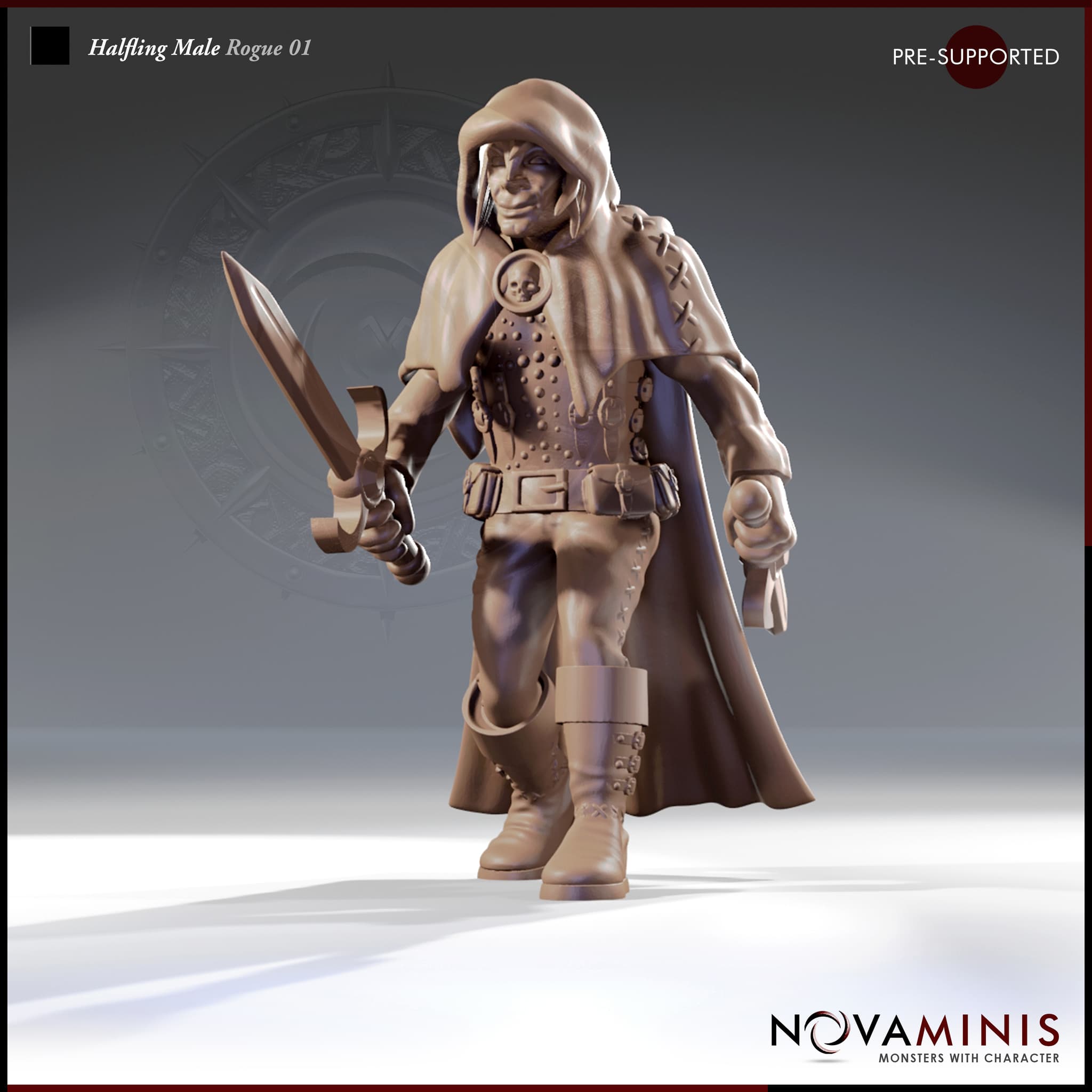 Halfling Male Rogue 01