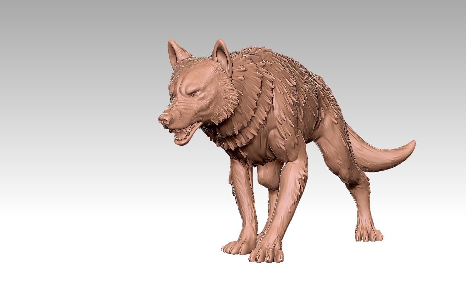 Alpha Wolf