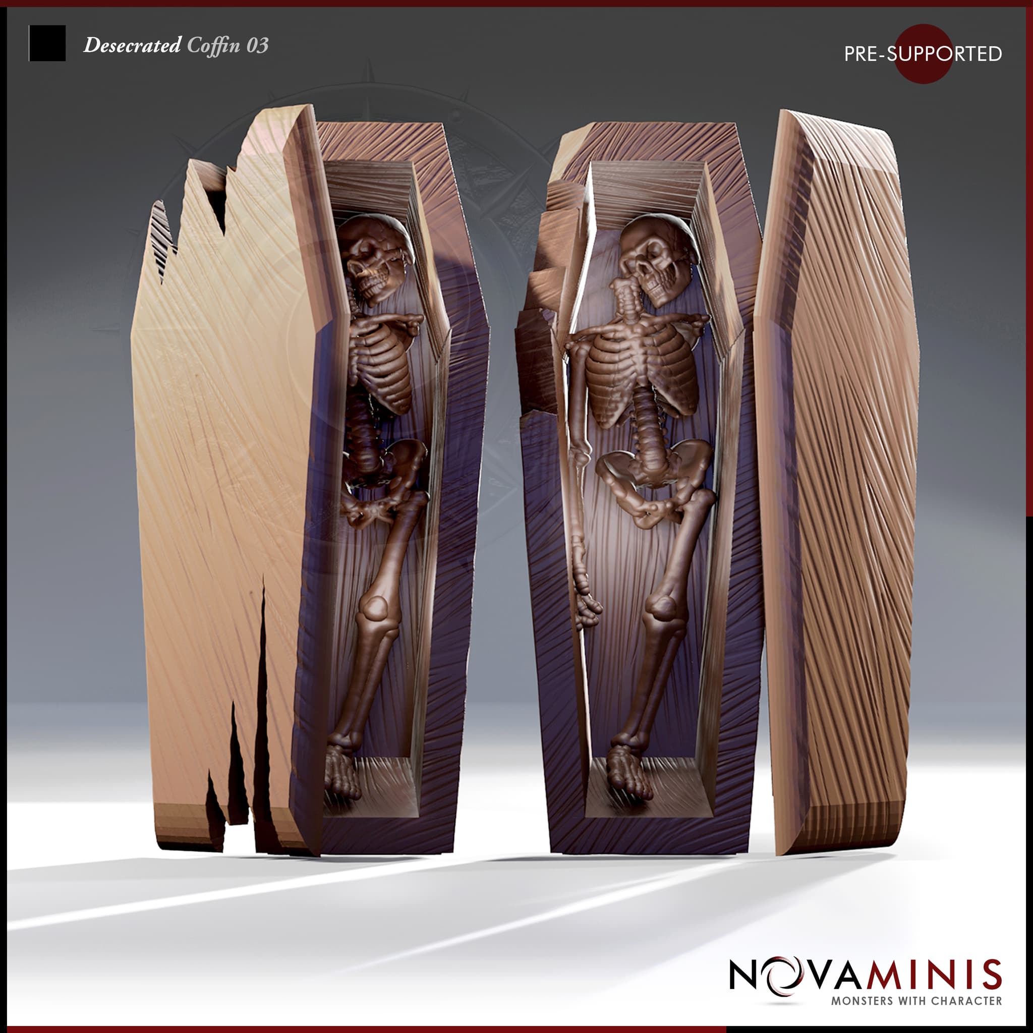 Desecrated Coffin 03