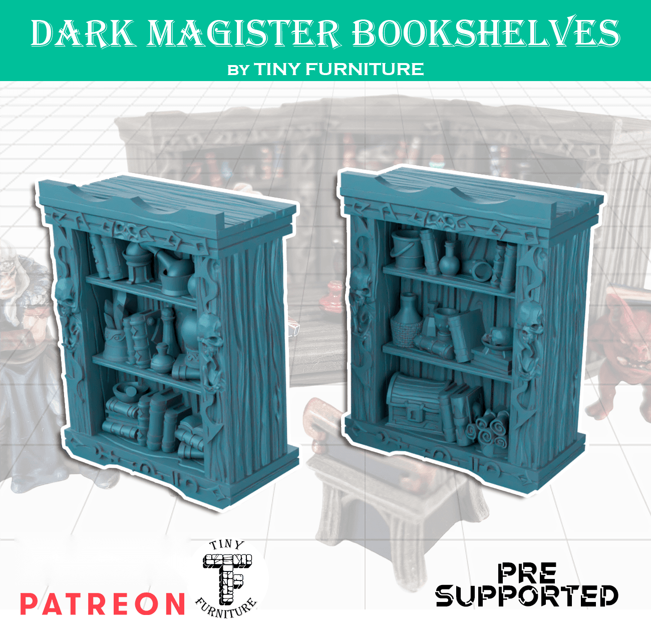 Dark Magister's Bookshelves