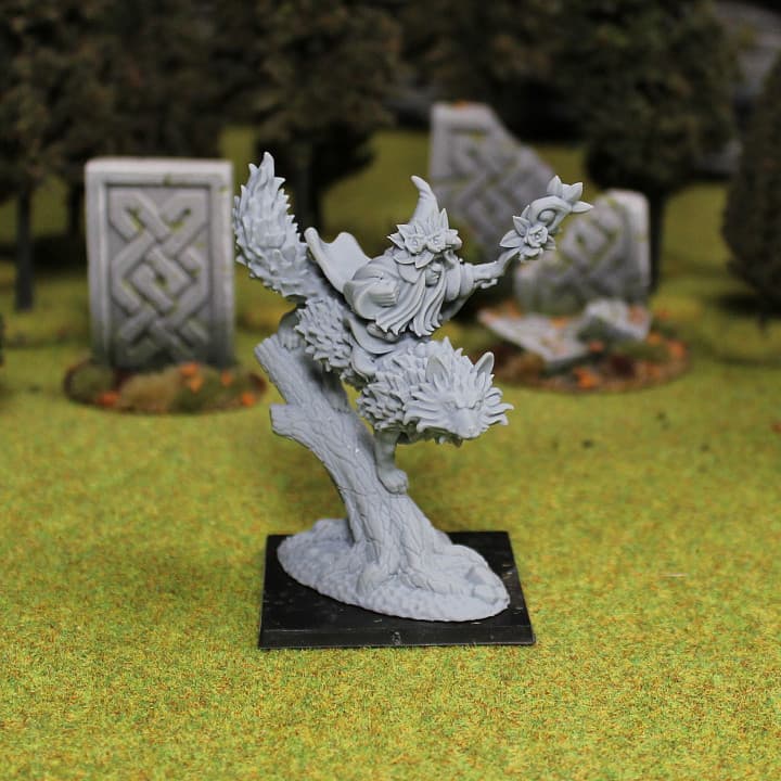 Forest Dwarf Sorceress