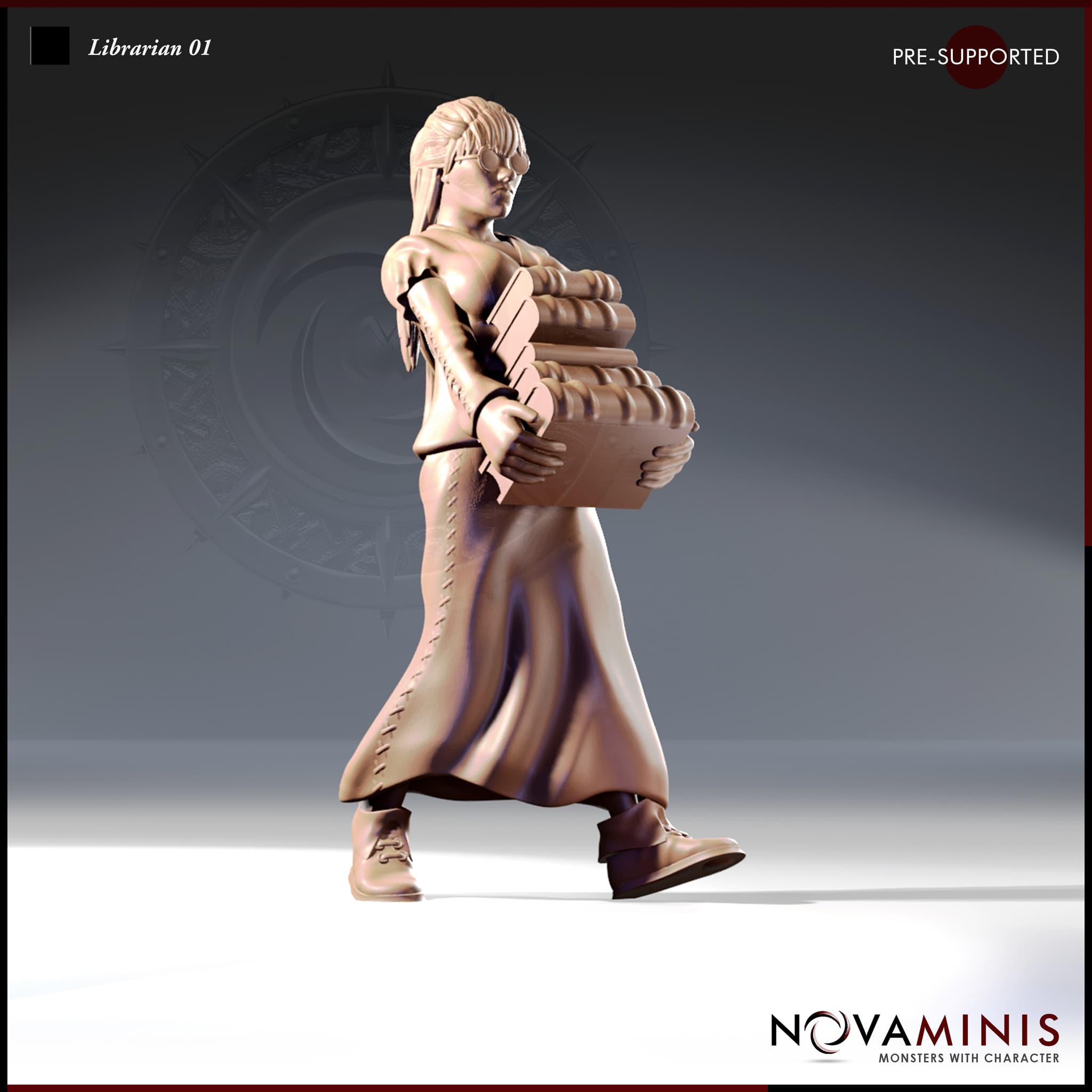 Librarian 01