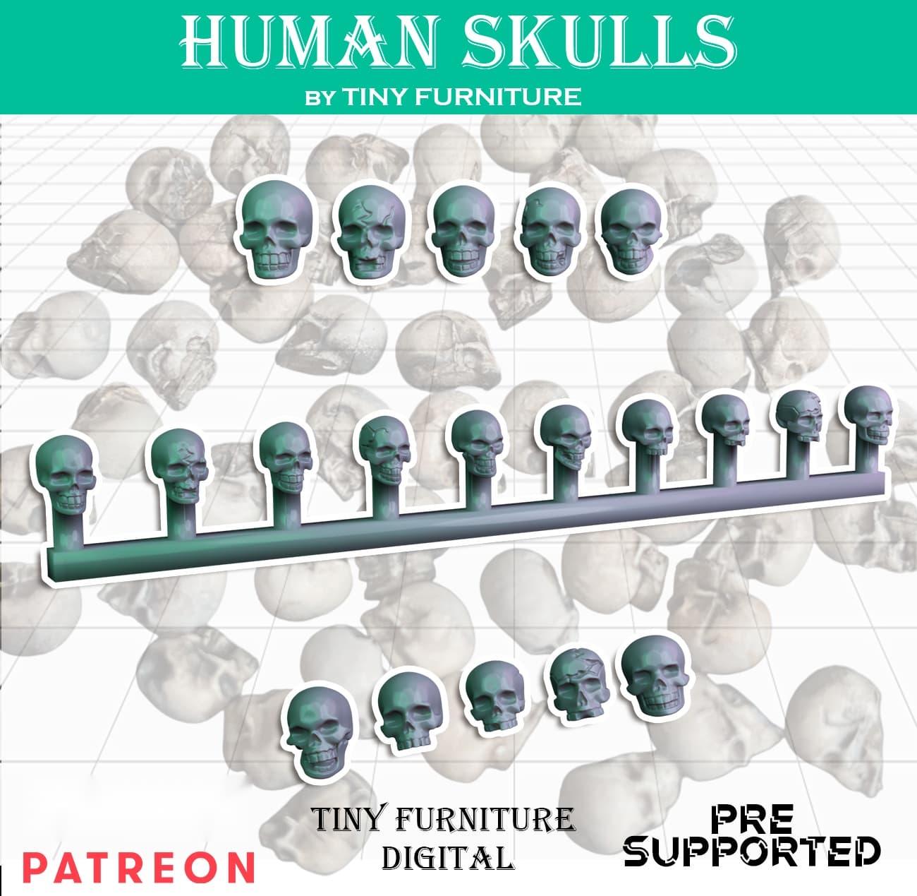 Human skulls