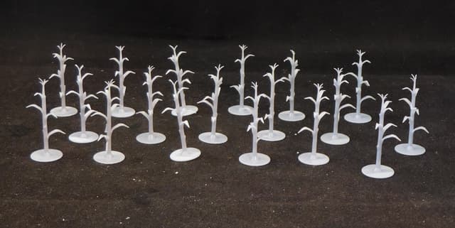 28mm Natural Corn Plants