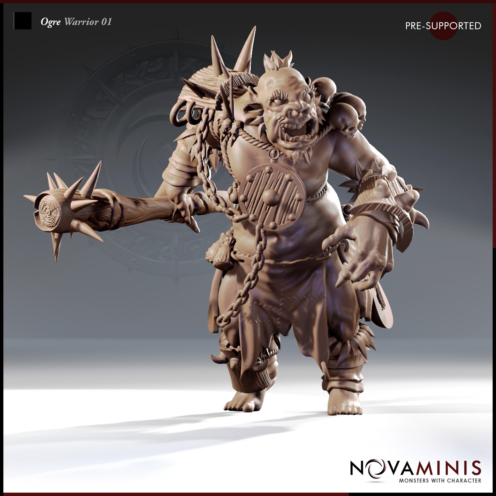 Ogre Warrior 01