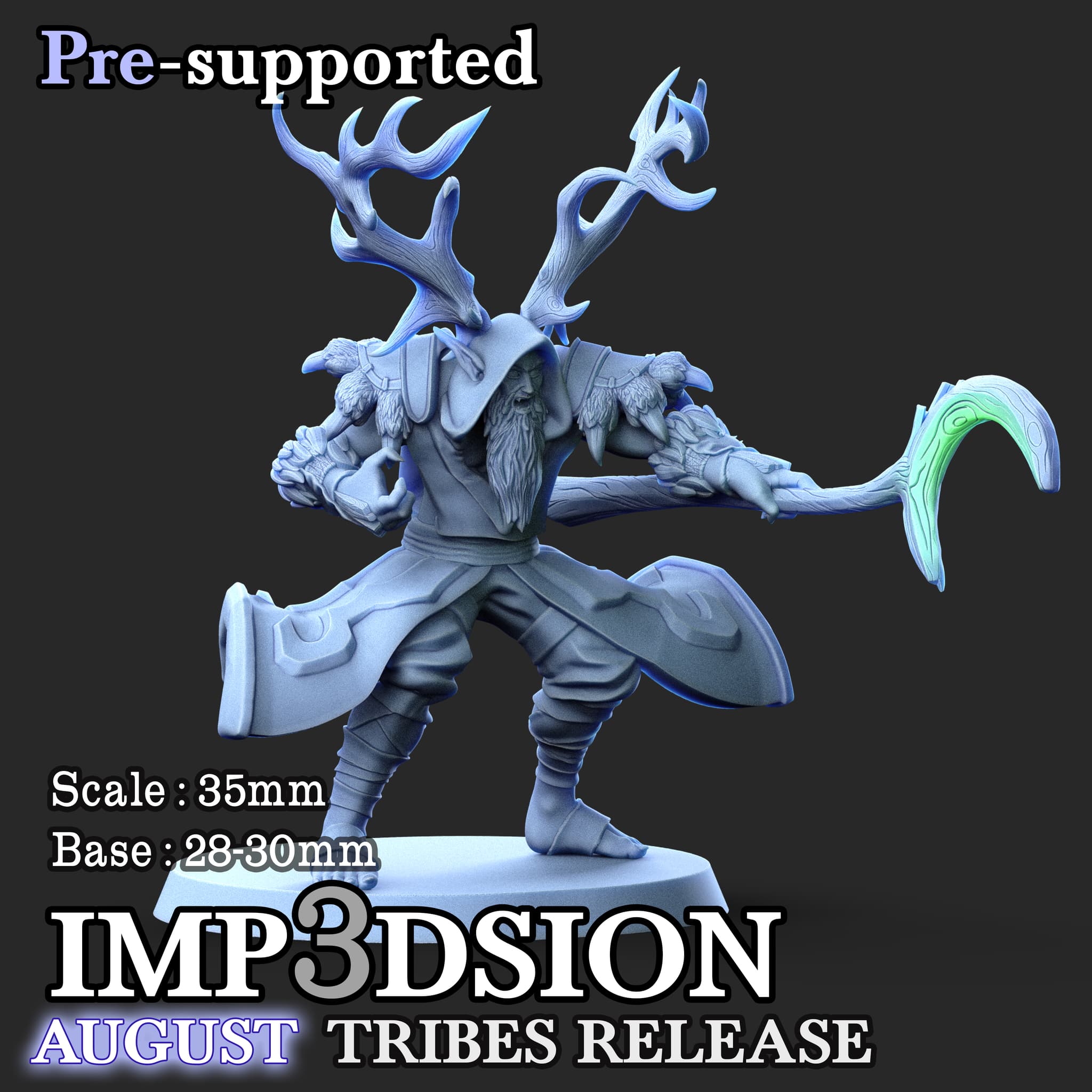 Male druid 02