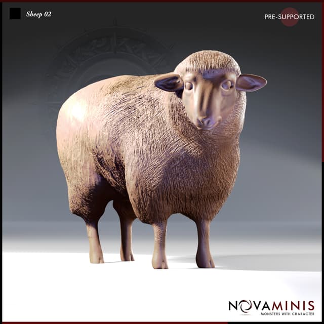 Sheep 02
