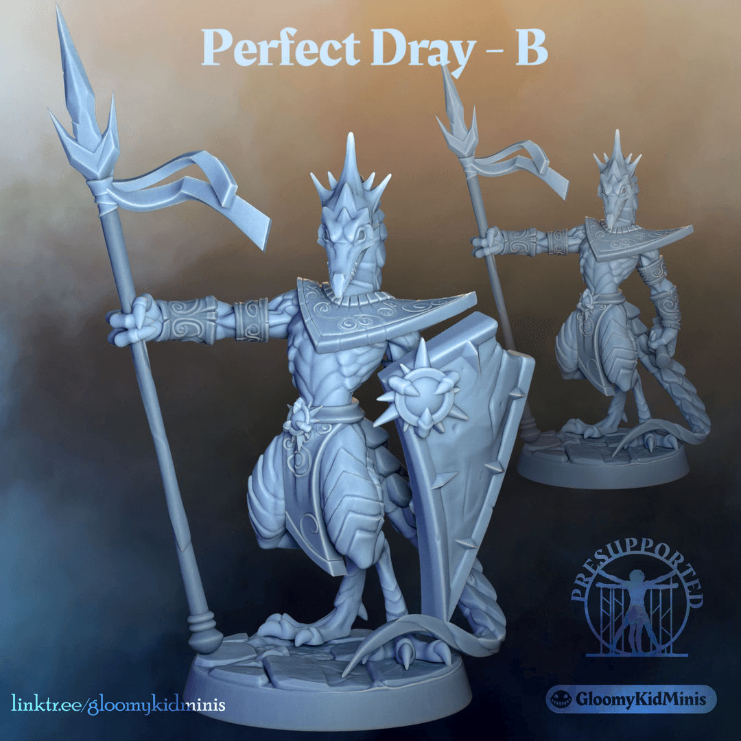 Perfect Dray - B