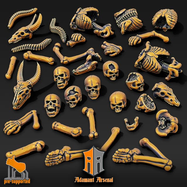 Bits - Skulls and Bones