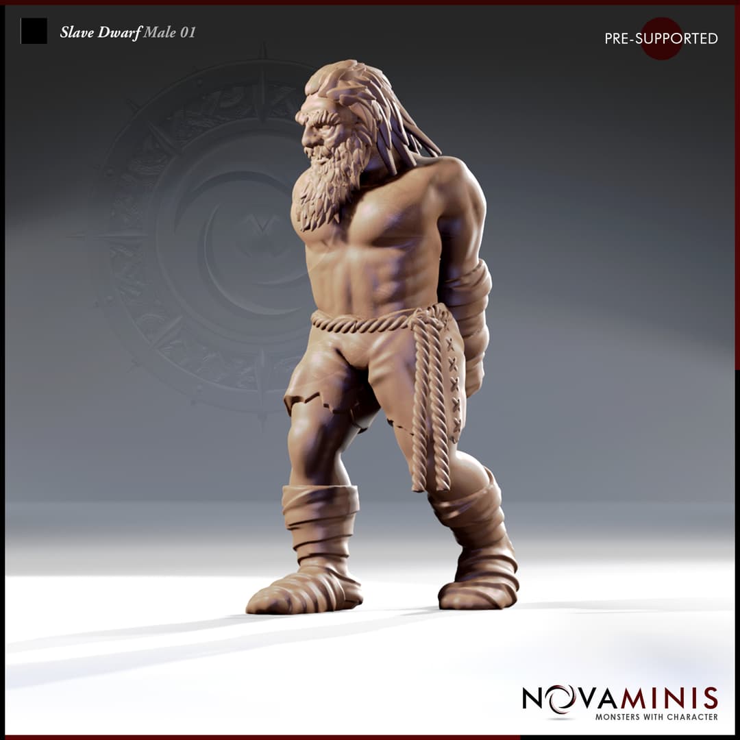 Slave Dwarf Male 01