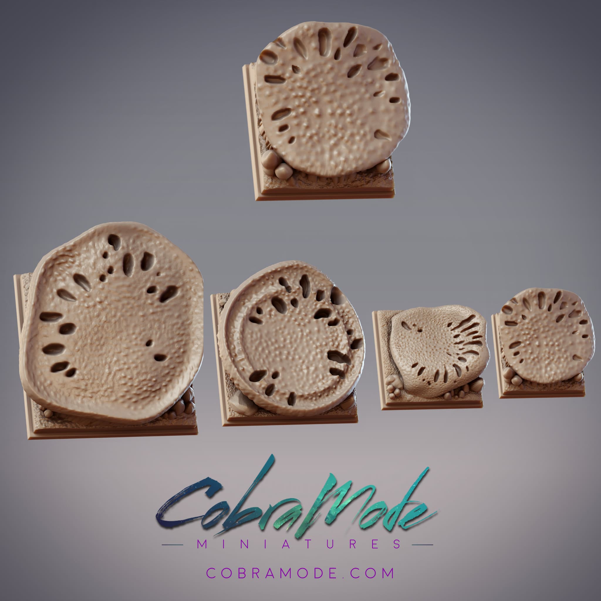 Mushroom Cap Square Base Pack (4pcs)