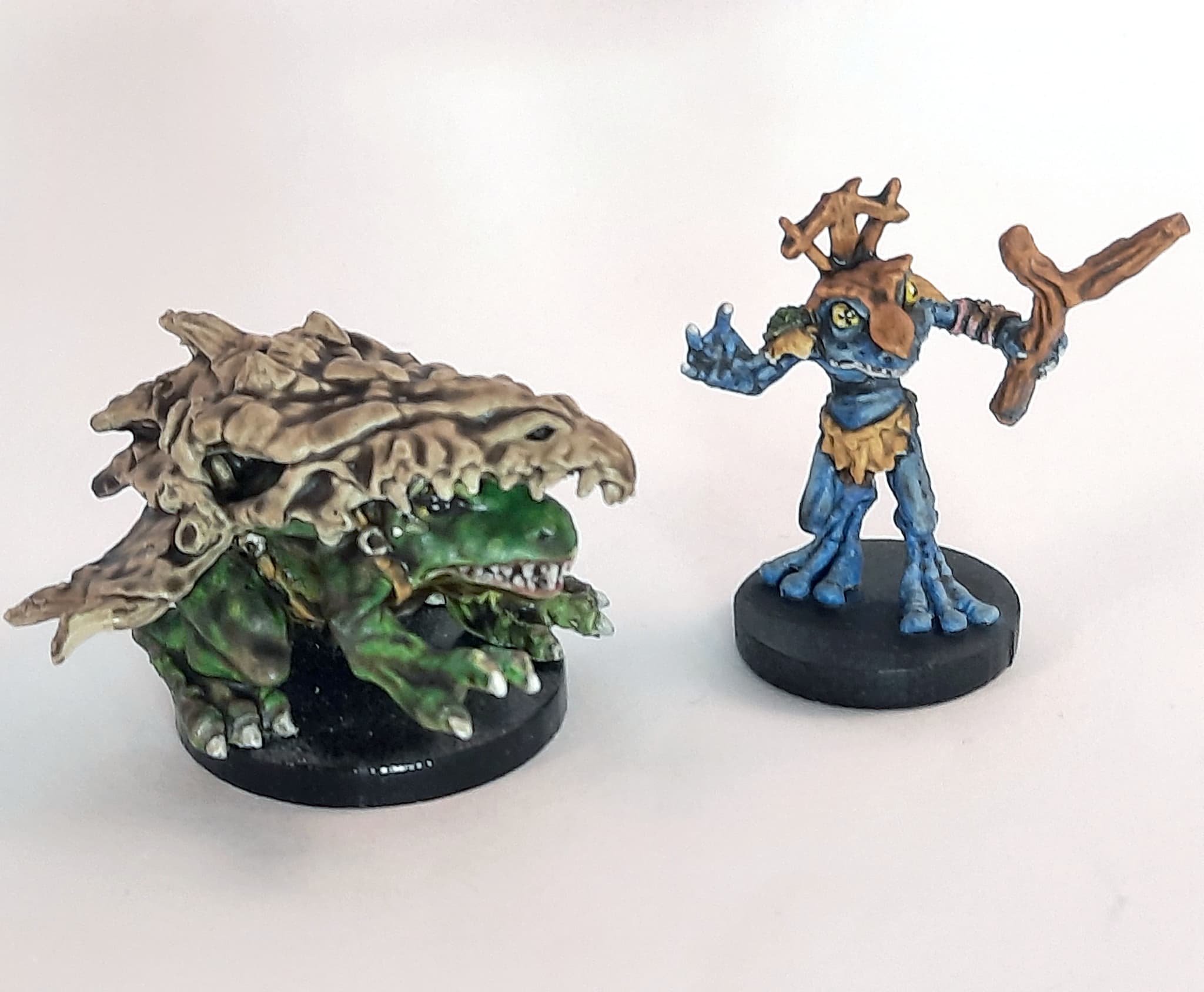 Frogoid Shaman and Giant Frog Companion Thibbit