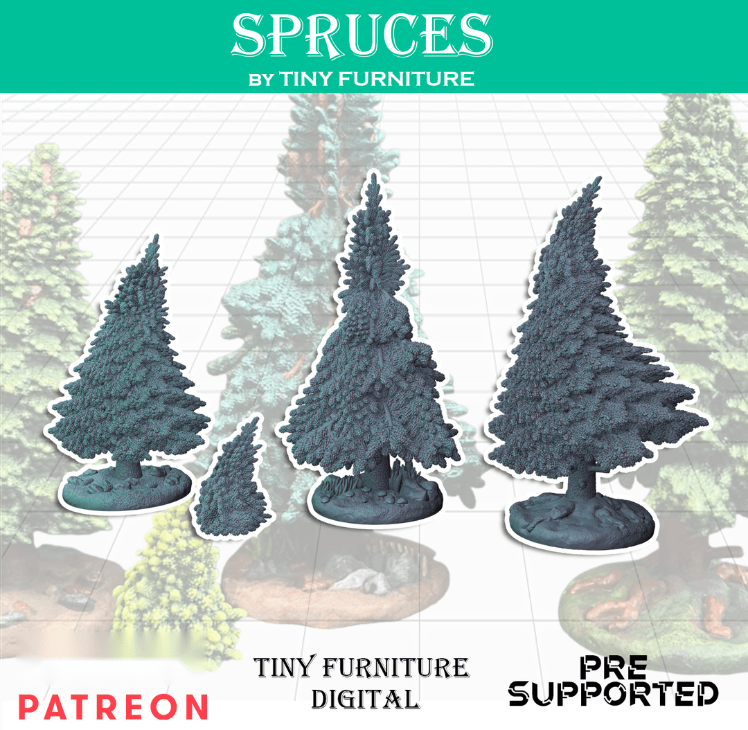 Spruces