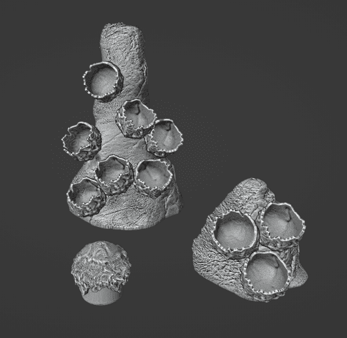 Alien Eggs Clusters