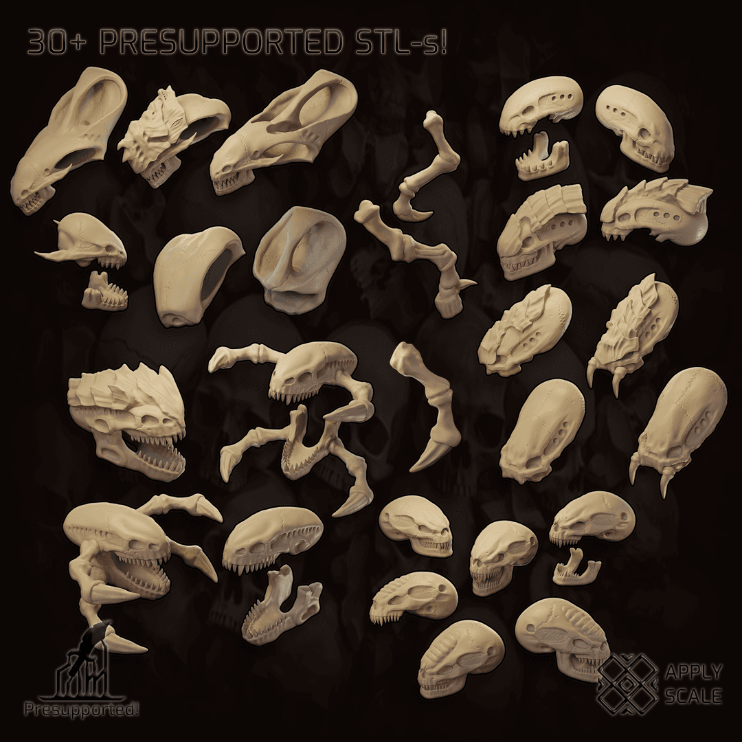Alien Xeno Dragons Skulls Basing Bits