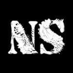 NS Miniatures